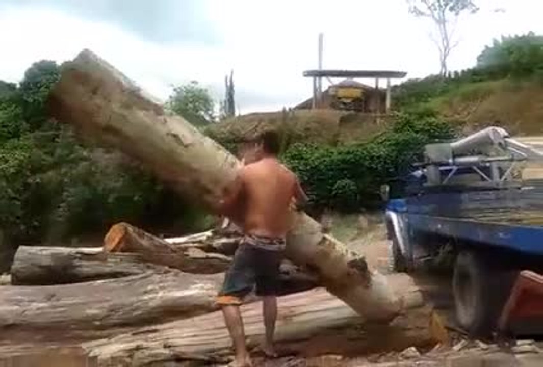 L'homme qui soulève un énorme tronc d'arbre à bout de bras
