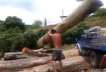 Download Video: L'homme le plus fort du monde soulève un arbre!