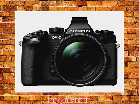 Olympus OM-D E-M1 Kit Appareil photo hybride 163 Mpix Objectif M.Zuiko Digital ED 12-40 mm