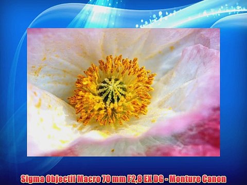Sigma Objectif Macro 70 mm F28 EX DG - Monture Canon