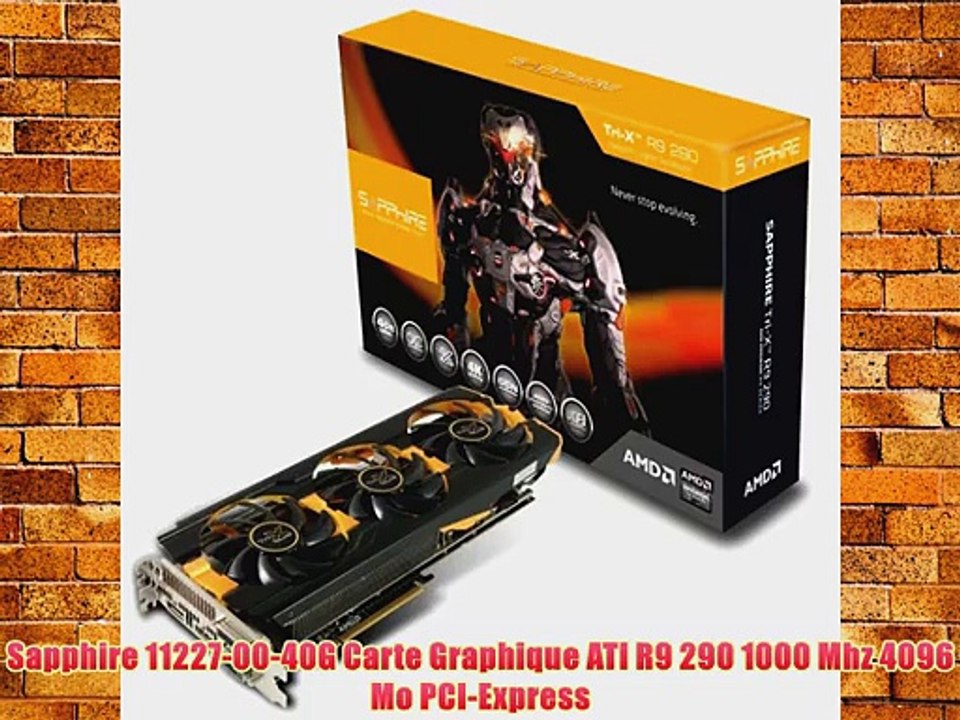Sapphire 11227-00-40G Carte Graphique ATI R9 290 1000 Mhz 4096 Mo PCI-Express