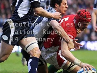 watch Scotland vs Wales online rugby