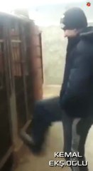 Kafesteki Köpeği Tepikleyen Adamın Dramı
