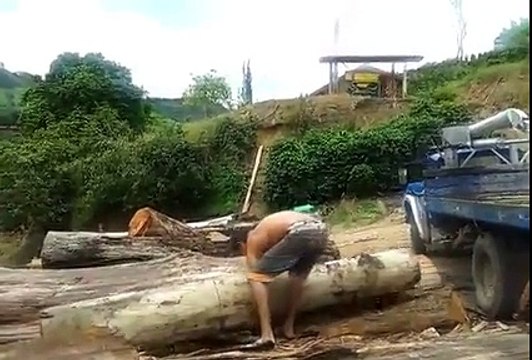 Un homme extrêmement fort soulève un tronc d'arbre