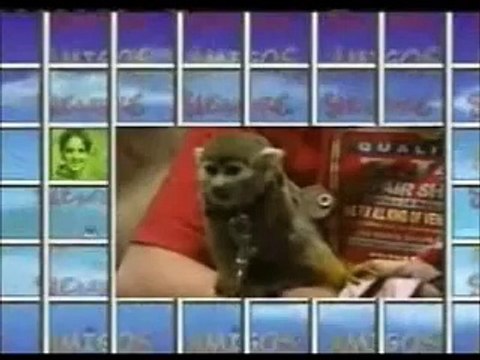 Amigos Para Sempre - Capítulo 26