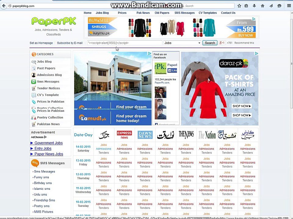 Paperpkblog.com Cross Site Scripting ( XSS ) Tutorial By KaMran.