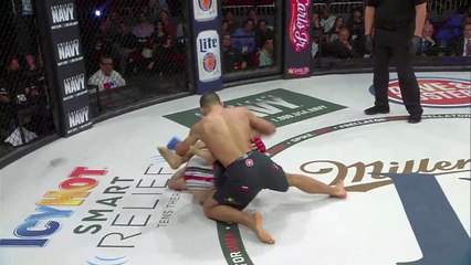 Bellator 133 video highlights