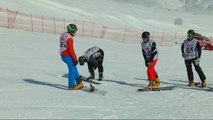 Fıs Snowboard Avrupa Kupası