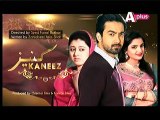 Kaneez Episode 49 Aplus Promo