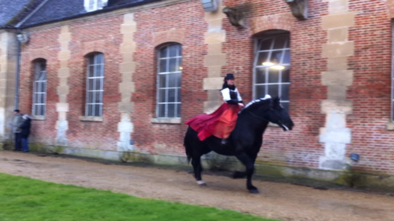 Les portes ouvertes du haras du Pin