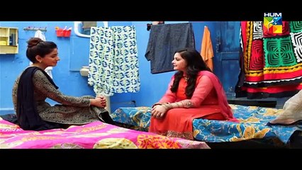 Digest Writer Episode 20 Full on HUM TV