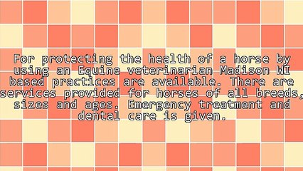 Check Local Listings For An Equine Veterinarian Madison WI Has Qualified Practitioners