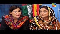 Digest Writer Episode 20 Full Drama on Hum Tv February 14, 2015