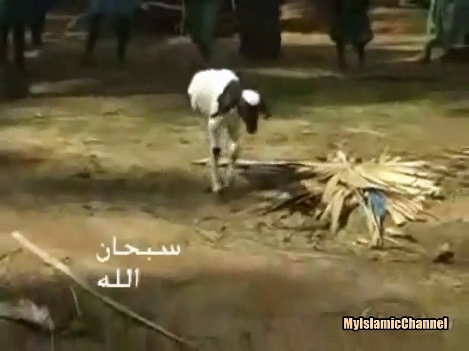 SubhanAllah