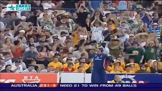 Cricket Funny Movements