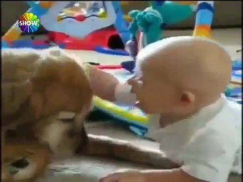 baykuş komik şaka 2013 HD 2