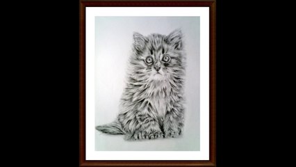 Learn How to Draw a Kitten Step by Step first lesson