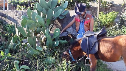 UMIA FC VIKINGAS 2014