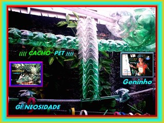 7 Filme Sabedoria Divina de Deus Mister