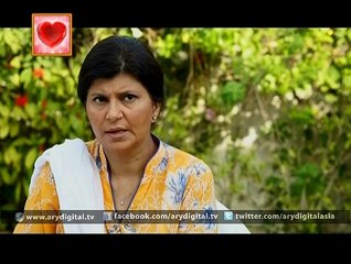 Dil Nahi Manta Ep – 14 – 14th February 2015
