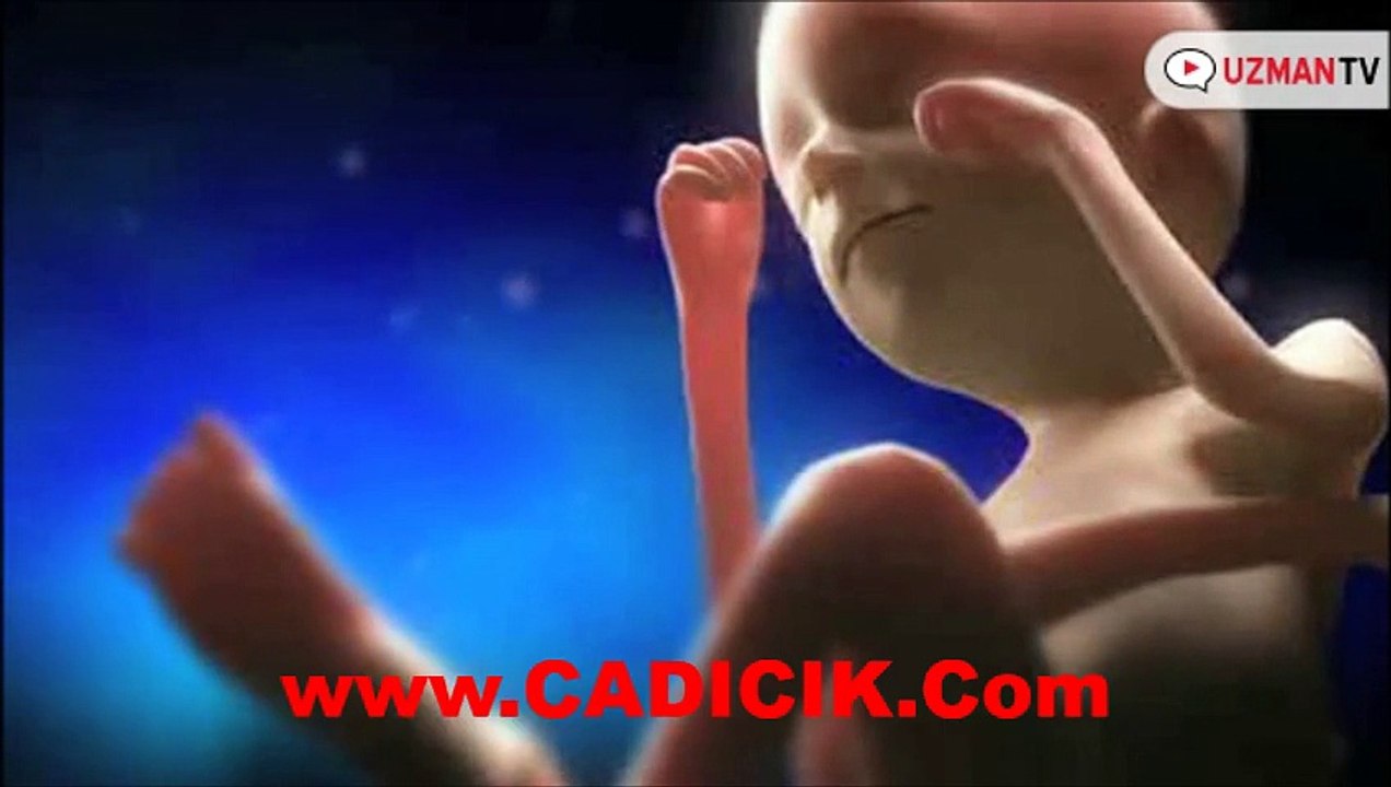 Hamileliğin 4. ayında anne karnındaki bebek ne durumdadır?