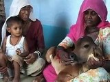 OMG Indian woman breastfeeds a calf - Video Dailymotion