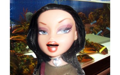 Lloyd's Live Lobster House Locations Expanding