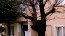 Bakırköy Kartaltepe. 2015