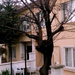 Bakırköy Kartaltepe. 2015