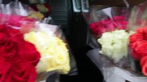 1,000 Roses Valentine’s Day Prank