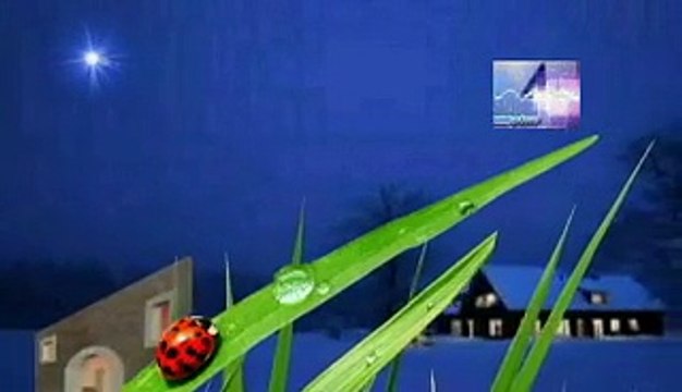 soñar con estar enamorado, significado de los sueños, español latino