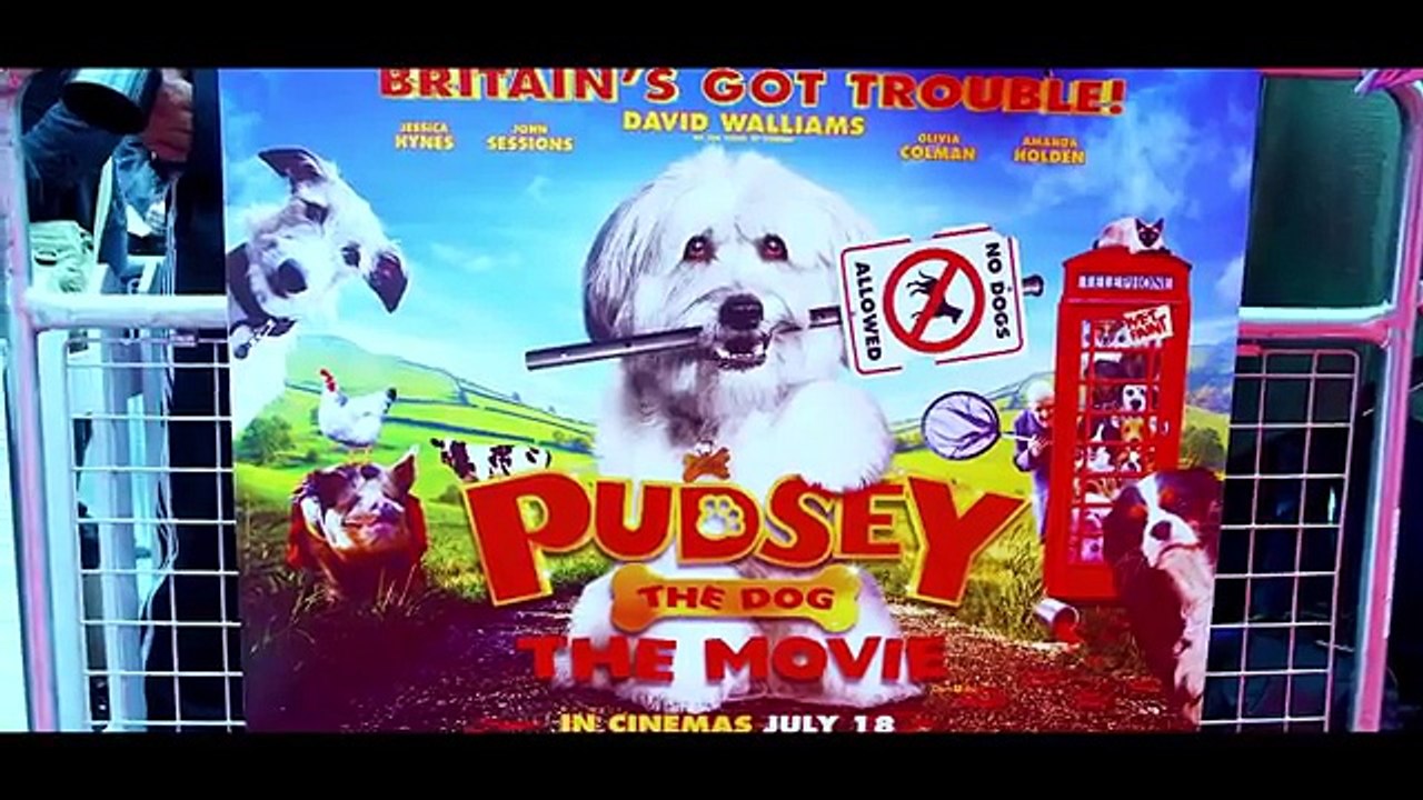 Diversity Susan Boyle and Paul Potts Took a Chance Britains Got Talent 2015