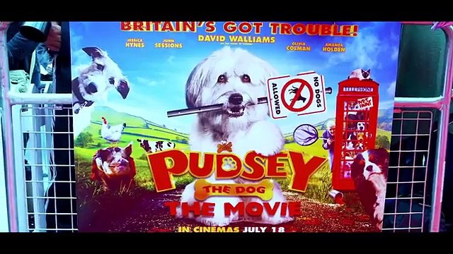 Diversity Susan Boyle and Paul Potts Took a Chance Britains Got Talent 2015