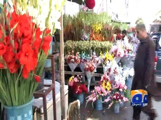 Roses on Valentines Day-15 Feb 2015