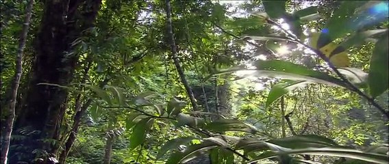 chiD進化6 20140806