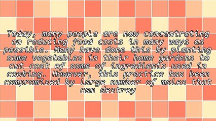 Learn The Best Mole Trap