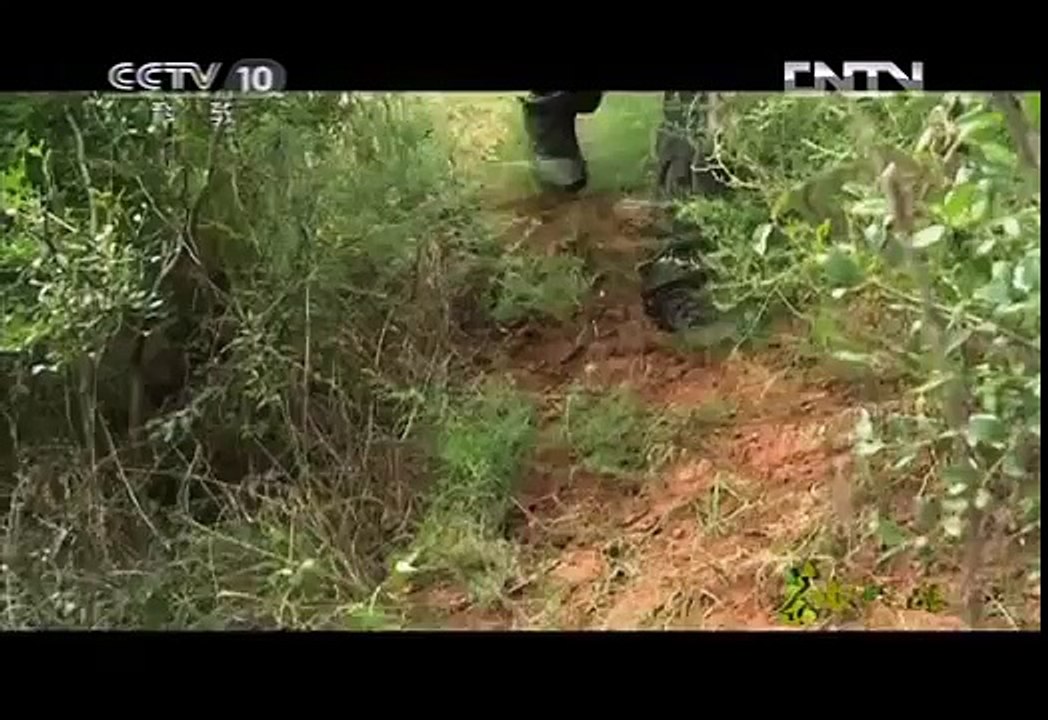 《茶叶之路》 20120903 第五十七集 农耕桃源（上）