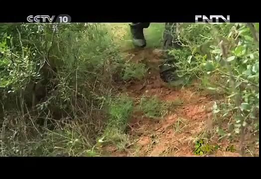 《茶叶之路》 20120903 第五十七集 农耕桃源（上）