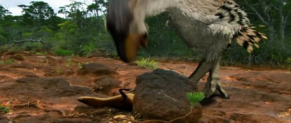 chiD進化5 大陸大分裂20140806