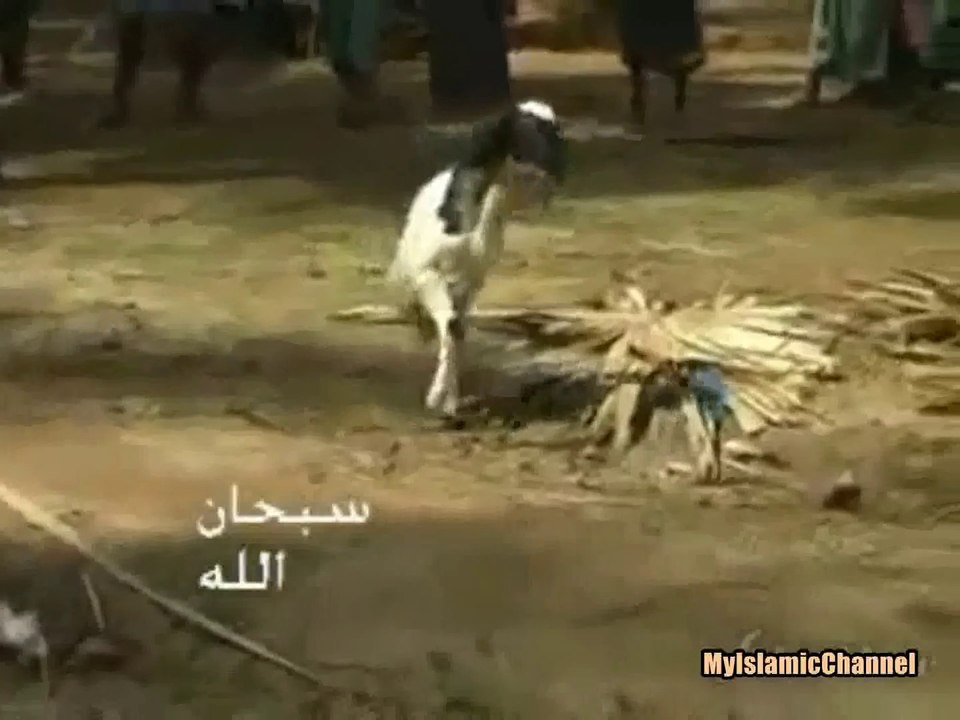 SubhanAllah