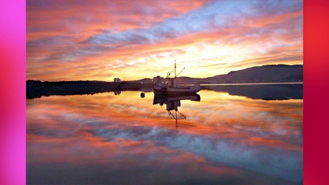 Morning Mood .-Peer Gynt Suite No. 1, Op. 46 - Edvard Grieg