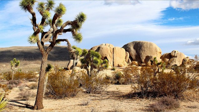 Nature Sounds | Relaxing Wind in the Desert - Sleep and Relaxation Sound