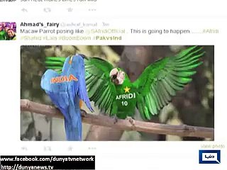 Pakistan fans cheers the team from across the country