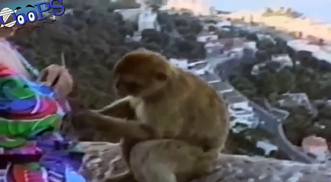 Funny Video Clips Fail Compilation 2014 Best Of Top Funny Home Videos