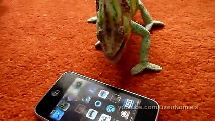 chand월드카지노ぐ【 【 ＤＢＴ７７７。ＣＯＭ 】 】＼＼월드카지노­드­카­지­노