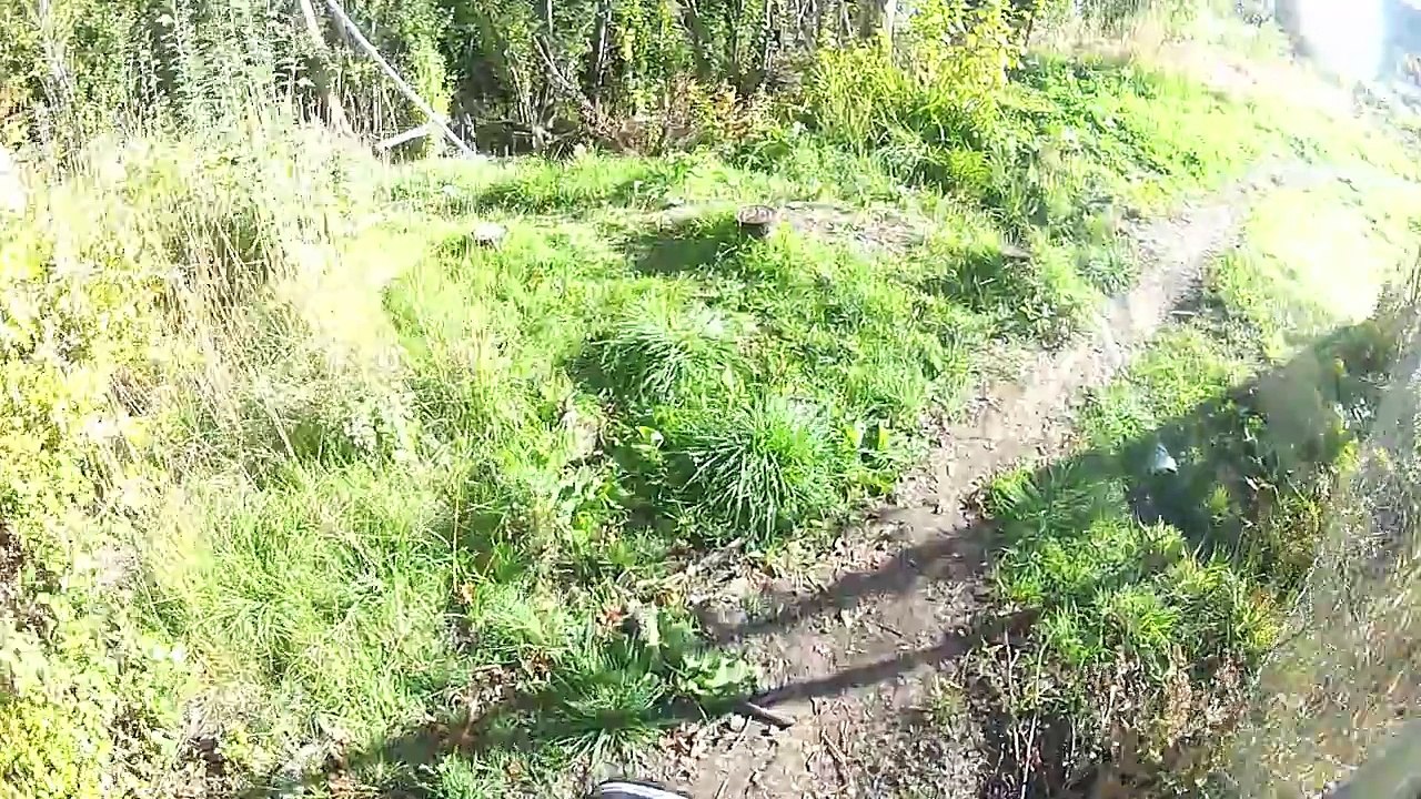 Mountain Biker Crashes into a Deer