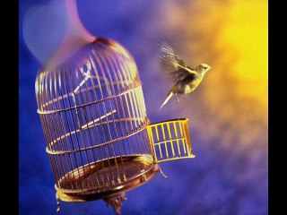 بحلم بيوم - عبدالحليم حافظ