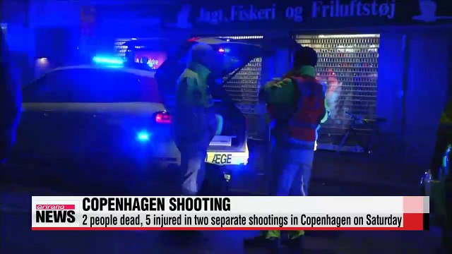 Denmark on high alert after two killed in separate shootings