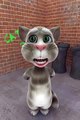 Talking Tom Desi song Indian song Pakistani song shahrukh salman Amir khan - YouTube