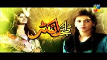 Digest Writer Episode 21 Promo HUM TV Drama 14 Feb 2015
